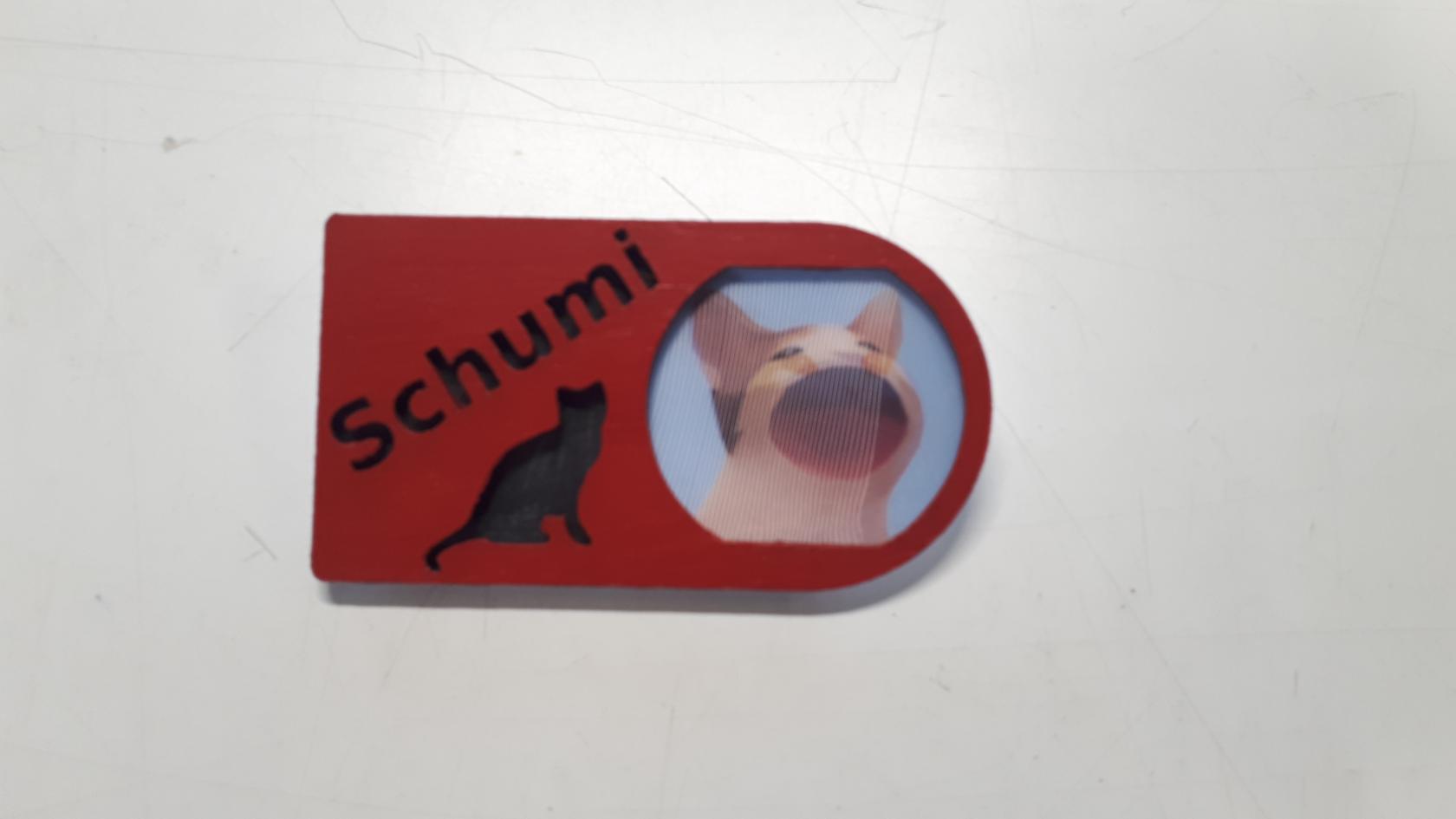 Schumi.jpg